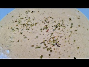 Homemade Creamy Leek Soup Recipe