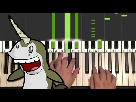Weebl - Narwhals Song (Piano Tutorial Lesson)