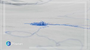 Arte per l'ambiente Video | Mediaset Infinity