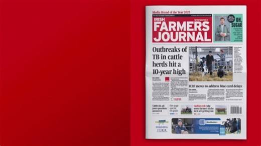 In this week's Irish Farmers Journal, on sale now: *We examine the latest Department figures showing TB hotspots *How you can get up to €30,000 to renovate traditional farm buildings *What's driving some western farmers awawy from sucklers? *Key farm payment schemes now open | Irish Farmers Journal