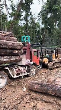 Extreme Logging Trucks in Action#heavyequipment#bulldozer#loggingtruck#workers#logs