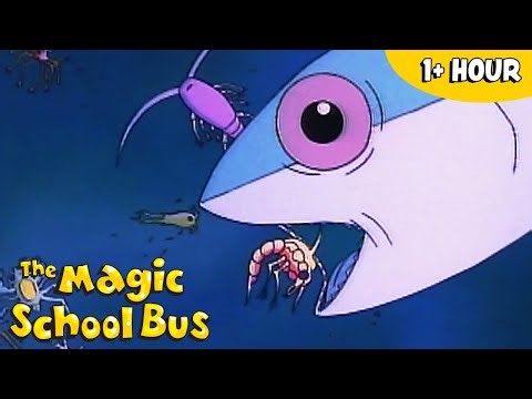 Who Eats Who? | Cartoons for Kids | The Magic School Bus | Scholastic After School