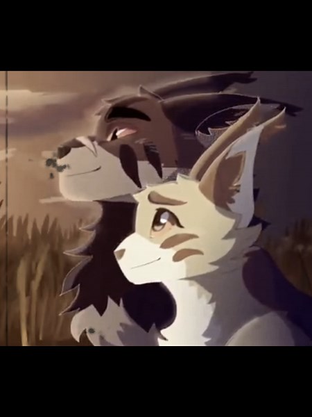 Edición de GoldenFlower y Tigerstar en Warriors Cats