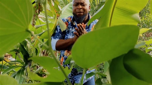 The Prodigal Son Story Explained