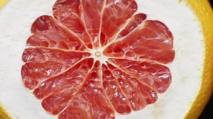 Download Fresh citrus slices displayed with vibrant colors and textures for free