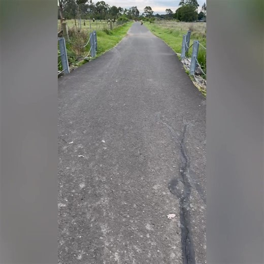 12K views · 91 reactions | People with flexi leads are often annoying to me even though I’m a user of them myself - here’s a very quick guide how to not annoy people with your flexi. | The Balanced Canine Sydney | Facebook