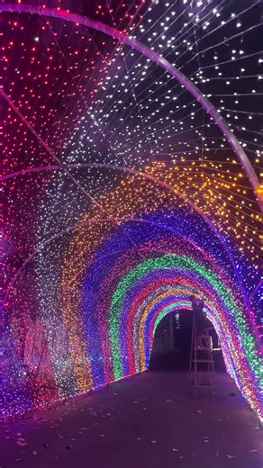 Festival Lampu Malang 2024: Lights Wonderland di GOR Ken Arok