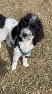 3.2K views · 85 reactions | So excited to get out and see all of you. More tour info at www.motioncitysoundtrack.com #motioncitysoundtrack #tour #shows @joshuaallencain @jcpmcs @jessemack @tonythaxton @matthewstaylor | Motion City Soundtrack | Facebook