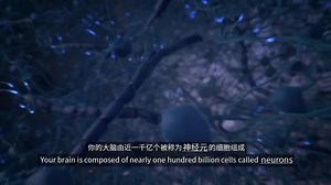 Understanding the Brain（字幕版）