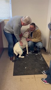 19K views · 1.5K reactions | Roxy had a meet and greet with her new...