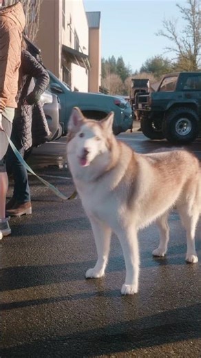 Successful toy drive with mule expedition and PNW overlanders for Seattle children’s hospital!