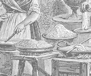 Introduction & History Bits