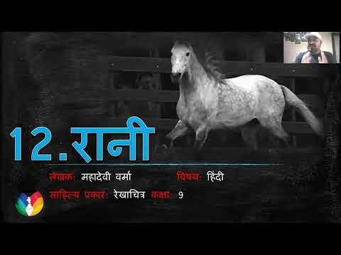 2ND TERM MARATHON #std9th #std9 #hindi #hindichapterexplanation #oneshot #marathon #allchapters 