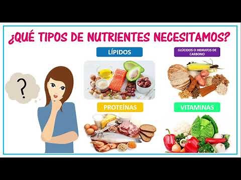 LOS ALIMENTOS - CLASIFICACIÓN Y COMPONENTES.