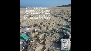 The Plastic Task Force took inspiration from the plastic litter...