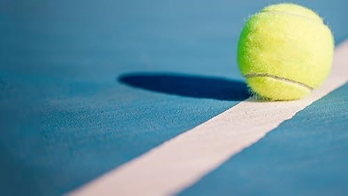 Preseason: Timberwolves vs. Bulls