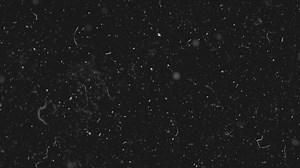 White dust particles moving slowly in space on black background. Abstract particle moving background. Slow motion macro dust particles explosive flow over black background