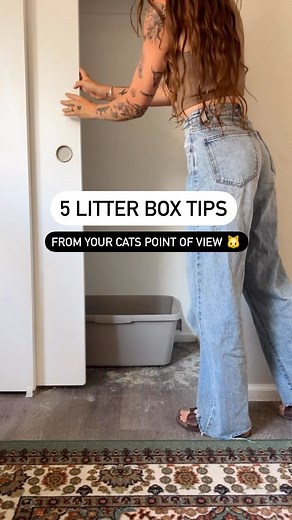 Chas | Plants and Pets 🪴🐾 on Instagram: "5 litter box tips from a cat’s point of view EXPLAINED ⬇️ 1. Don’t use covered litter boxes. There are a few reasons cats prefer an uncovered litter box. Smell is one of the biggest… they trap in odor which is good for us… but not for them. We actually have a covered litter box in the laundry room & the cats use it WAY less. 2. Do a complete litter change at least once a month. Again, cleanliness is next to godliness when it comes to cats. 😂 3. Don’t u