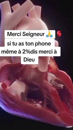 Océan d'amour (@oceanedamour1366703)’s videos with son original - Océan d'amour