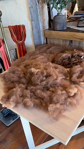 Decided to make time to process an alpaca fleece that we’ve had for a bit. Picked, washed, carded and ready to spin. Love this shade of brown, can’t wait to see how it spins up. . . #handspinners #alpacafleece #handspunalpaca #handspunyarn #handspunyarns | Homestead Fiber Crafts