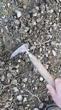 The gardening tool I always take with me (to the garden...) #gardening #weeding