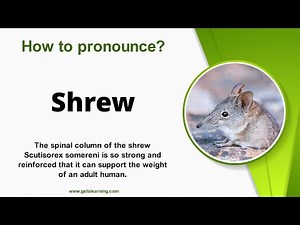How to pronounce Shrew in English correctly
