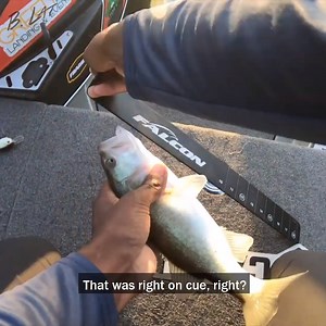 249K views · 1.8K reactions | Neely Henry BASSMASTER Open PT 3 | Brian Latimer | Facebook