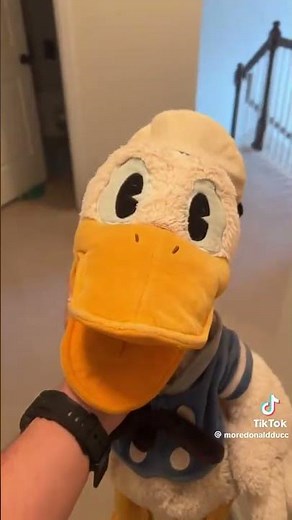 Donaldducc get off my computer #2