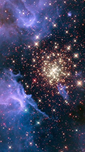 130K views · 1.8K reactions | A stellar jewel box  About 20,000 light-years away, thousands of stars shine at the core of the star-forming region NGC 3603. This is one of the most massive young star clusters in our Milky Way Galaxy. Music provided by Hoducoma, from Pond5 #NASA #Hubble #space #stars #science #astronomy #universe #telescope #cosmos #nebula | NASA's Hubble Space Telescope | Facebook