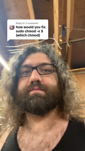 Dave Eddy on Instagram: "what to do in the event that you remove the executable bit from `chmod`. `chmod -x "$(which chmod)"`. you suck at programming #programming #devops #bash #linux #unix #software #terminal #shellscripting #tech #stem"