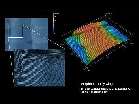 3D Optical Profilometry - Soares and Walsh - MRL 05072020