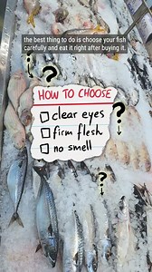 How to keep fish fresh for longer