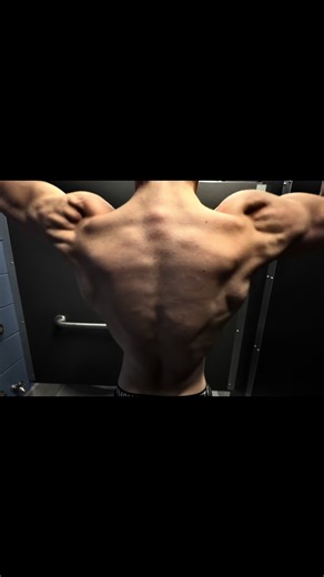 Effective Back Workout Tips for Gym Enthusiasts