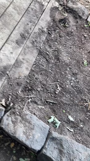 #CapCut #jump #new #landing #minty #transition here is the landing u all asked for it #fyp #bike #mtb #viral