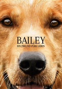 Bailey - Ein Freund fürs Leben - Online Stream anschauen