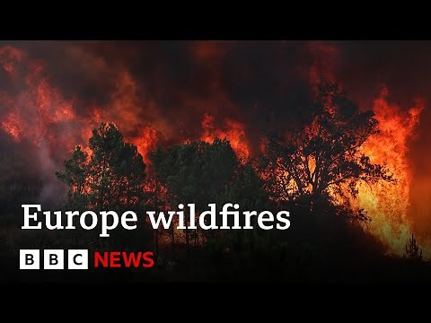 Wildfires rage across southern Europe | BBC News