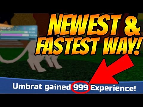 FASTEST WAY TO LEVEL YOUR LOOMIANS! (LOOMIAN LEGACY EXP GUIDE)