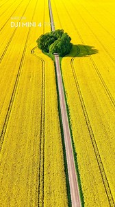 30K views · 448 reactions | 朗 Boost your shooting efficiency with the DJI Mini 4 Pro's Waypoint Flight automatic route function for perfect route repeatability.  Capture stunning shots easily every time! ✨ @sophiabergholm #DJI #Mini4Pro #Waypoint #DronePhotography #PerfectShots | DJI | Facebook