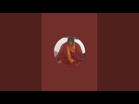 Cheikh Sufi is live!