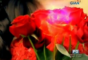 Dangwa December 30 2015