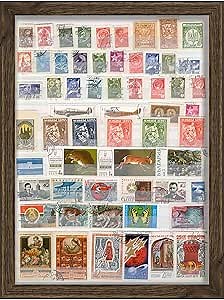 20x24 Woodgrain Walnut Shadow Box Frame - Shadow Box Frame Interior Size 20x24 by 1 Inch Deep - Made to Display Items Up to 1 Inch Deep! Includes Shatter Resistant Acrylic, Backing, Hardware