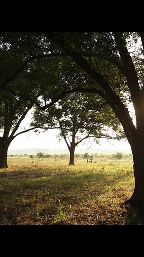 On this date in 1942, on the outskirts of the rural South Georgia town of Americus, a radical experiment began with Clarence Jordan's founding of Koinonia Farm. The farm would provide the fertile soil from which Habitat for Humanity would grow. A biblical scholar, Jordan is considered the spiritual father of Habitat for Humanity, and our operational headquarters in Americus now bears his name. This is a recording of one of his sermons, "Planting Seeds". | Habitat for Humanity