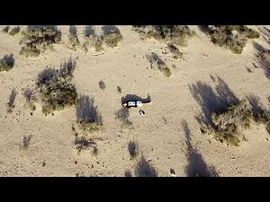 Jopez - j [Official Visualizer]