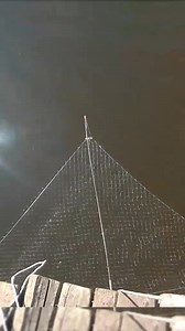 Fishing from a bridge #fishing #bridge #net #zander #bite | Victoria Paris