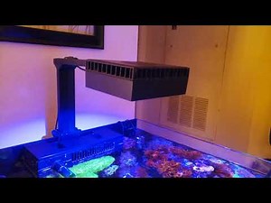 Red Sea Reefer 170 Review and Overview