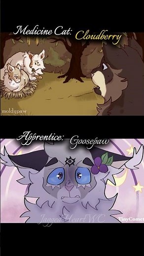 Medicine cats and their apprentices [ThunderClan] #warriorcats #edit #warriors #cat #medicinecat