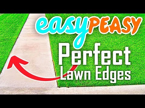How to EDGE your lawn like a PRO 😎😎😎
