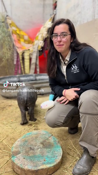 Mars learns the station behavior. That means he’s one step closer to being able to meet you!!! #mars #pygmyhippo #babyhippo #kansas #wintervacation
