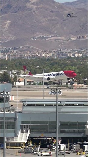 A350 Edelweiss Touches Down at LAS #planespotting #aviation #4k #plane