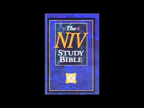 The Book of Numbers (NIV Audio Bible Non Dramatized)